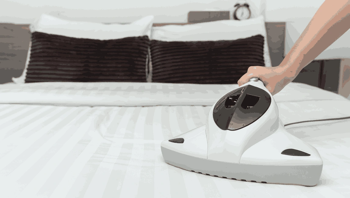 Professional Mattress Cleaning Murgheboluc